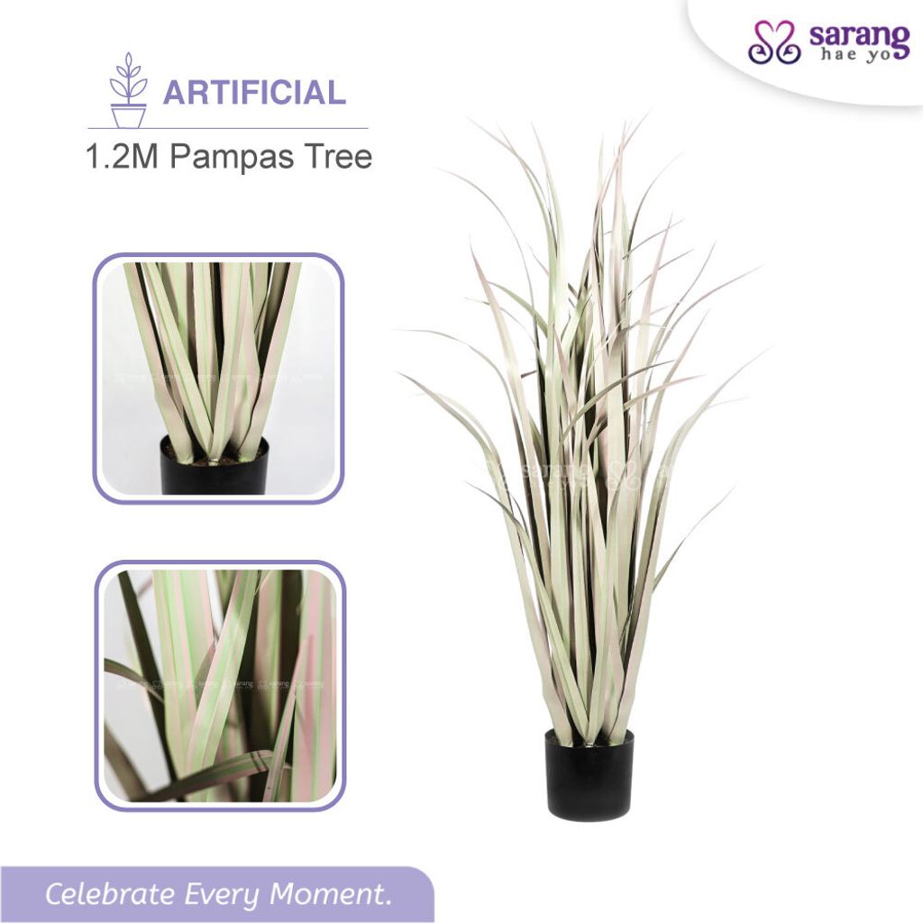 PAMPAS-TREE