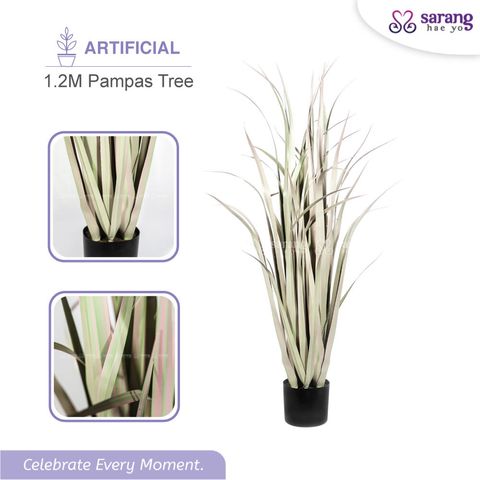 PAMPAS-TREE