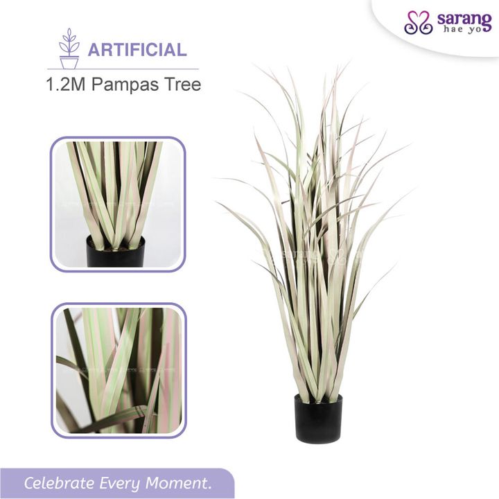 PAMPAS-TREE