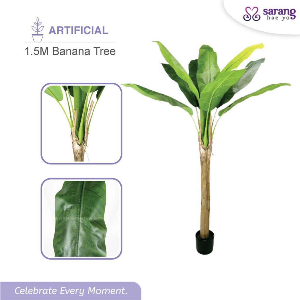 BANANA-TREE