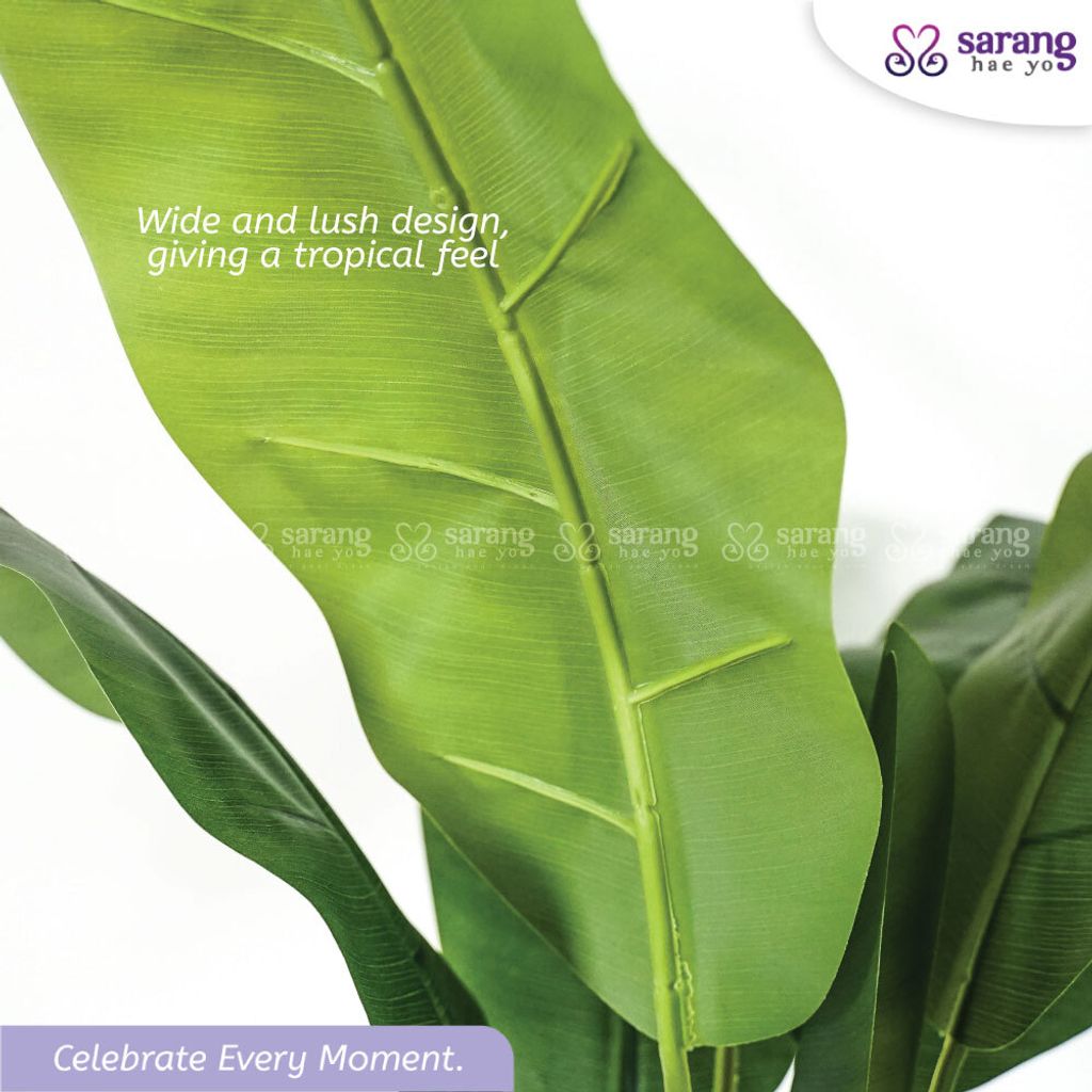 BANANA-TREE-3