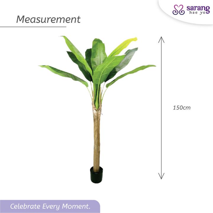 BANANA-TREE-4