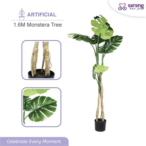 MONSTERA-TREE