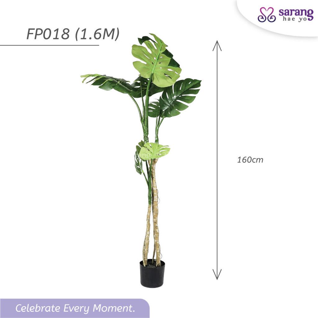 MONSTERA-TREE-1
