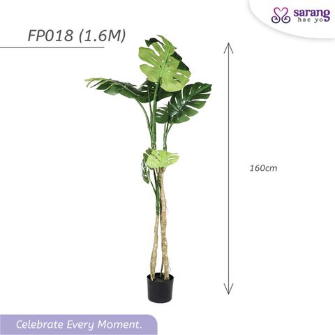 MONSTERA-TREE-1