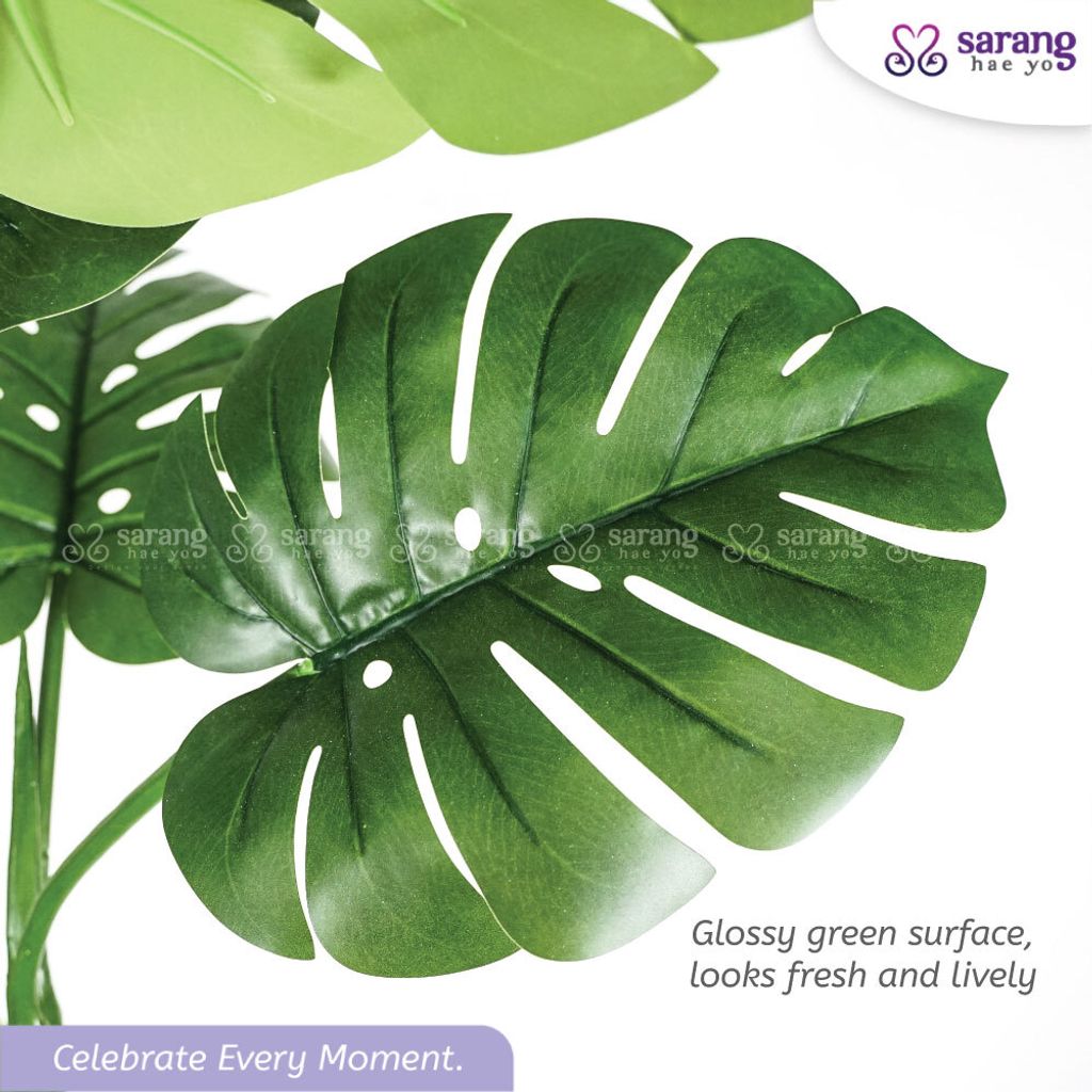 MONSTERA-TREE-3