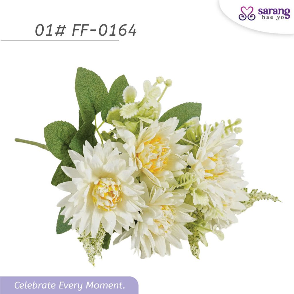 ASTER-6