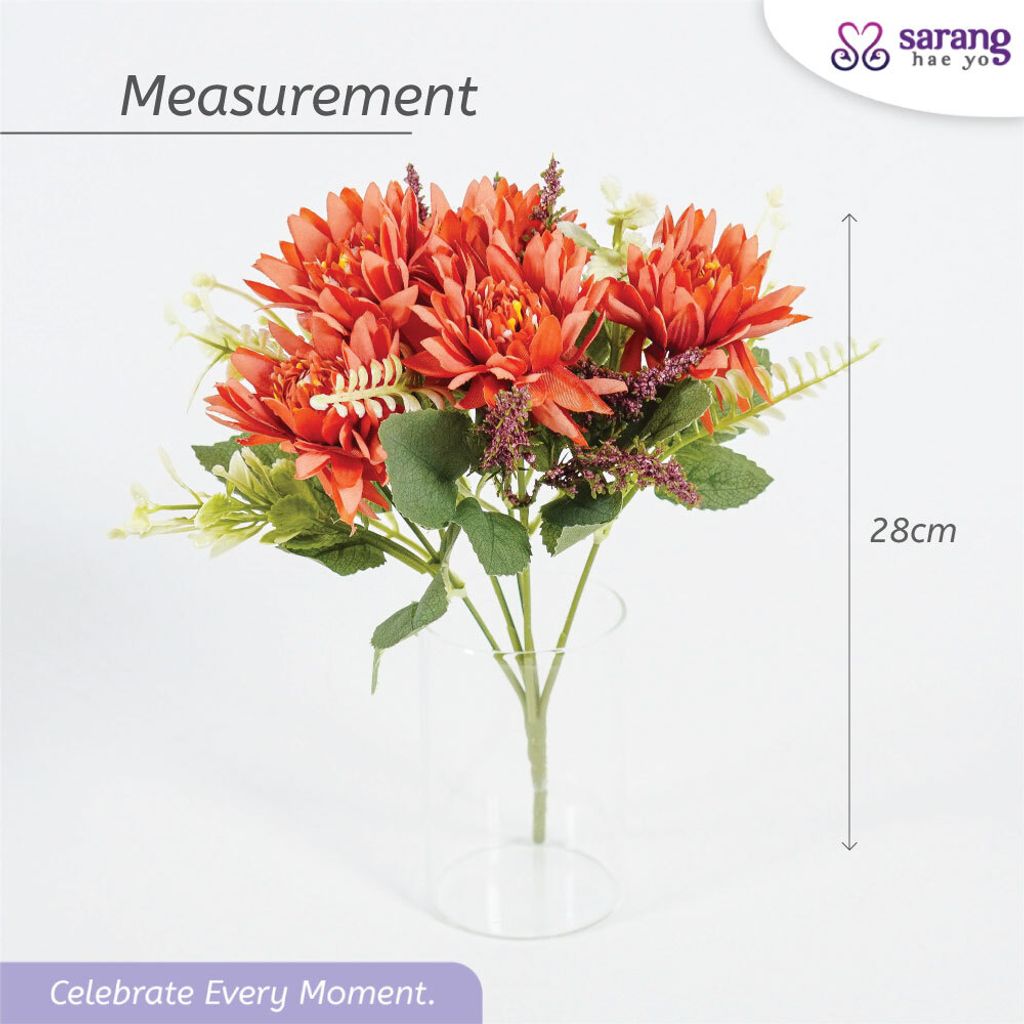 ASTER-2
