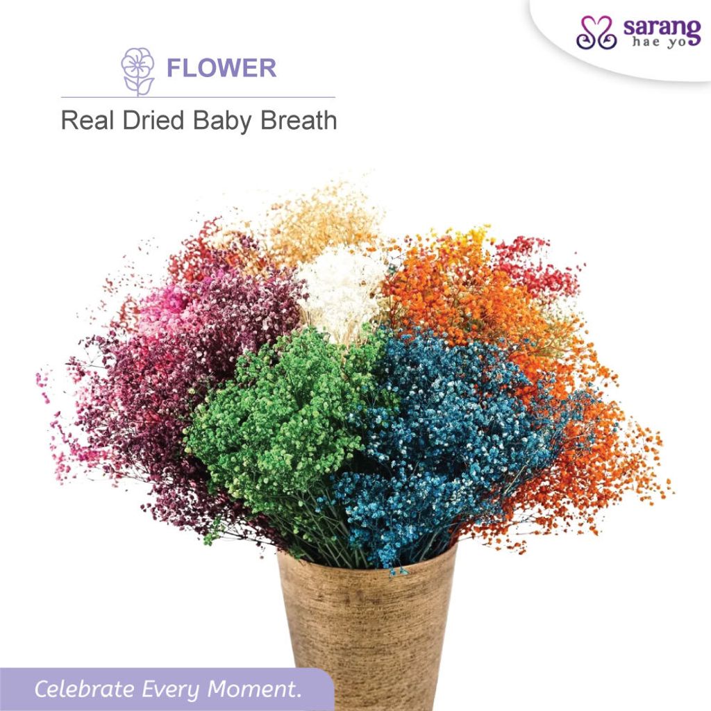 baby-breath