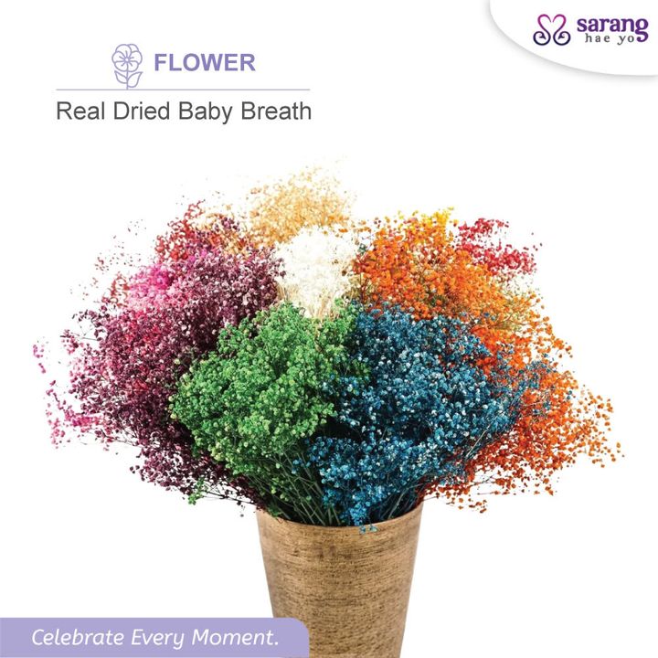 baby-breath