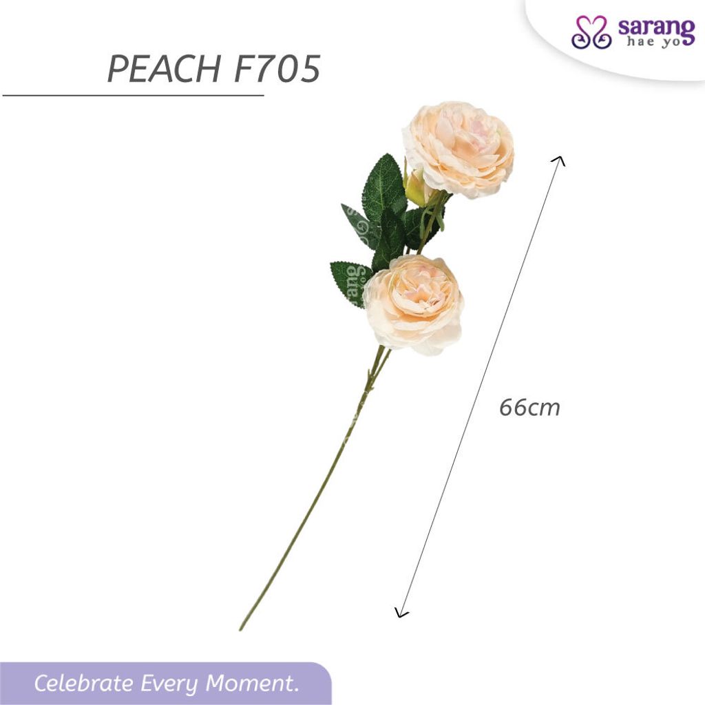 PEONY-3