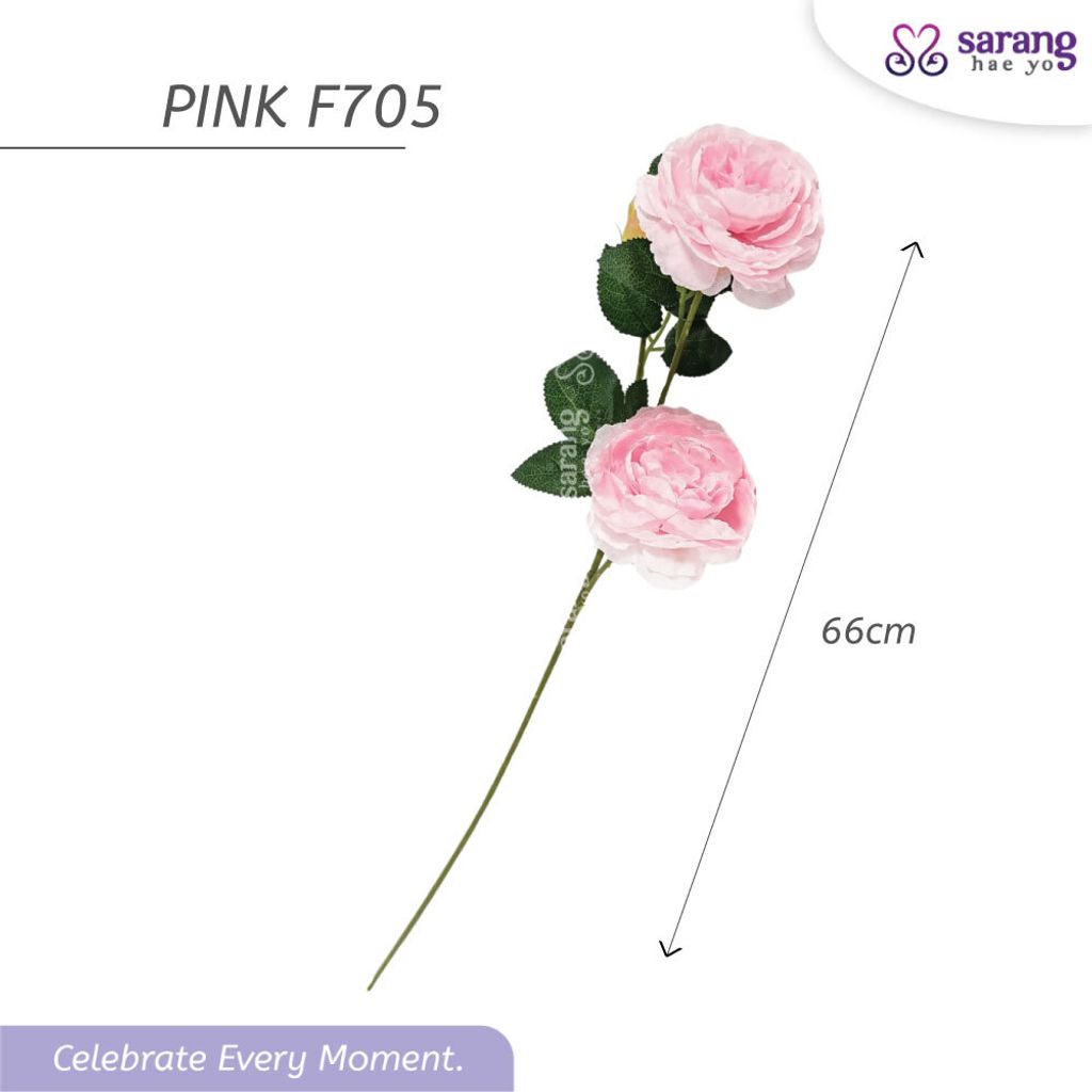 PEONY-4
