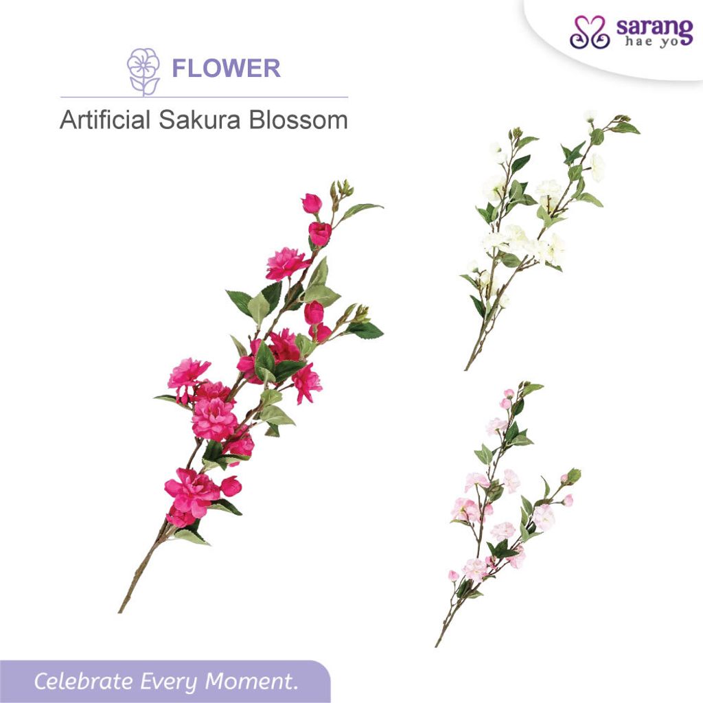 SAKURA-1