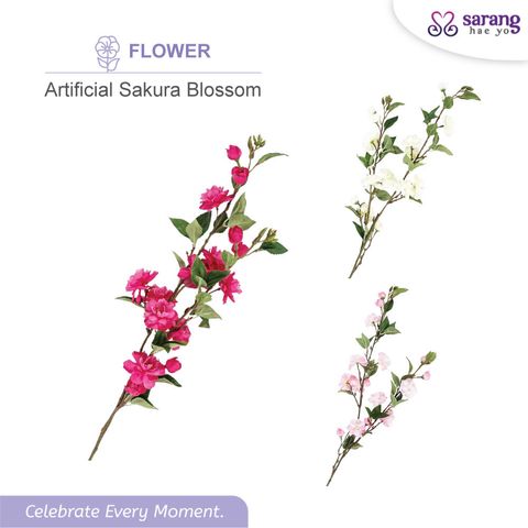 SAKURA-1