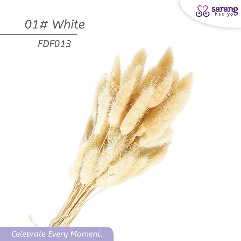 FDF013-3