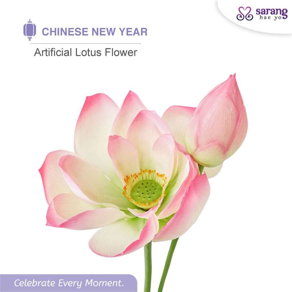 4304074c87763f3f94db359a8ffbfa09bed5_1768797512026