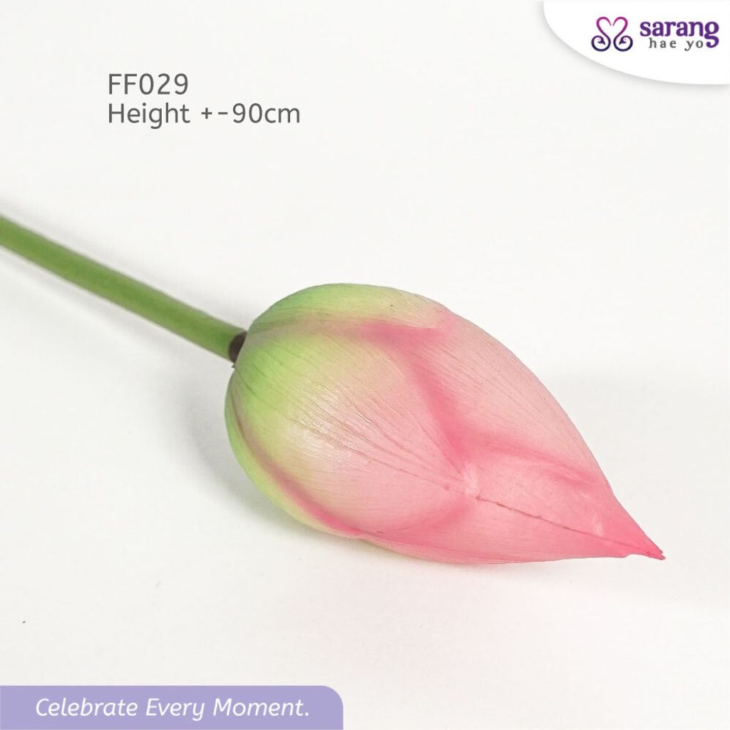 7477dd2ad36bc81e8ceeedbfe05aebc33243_1768796829449