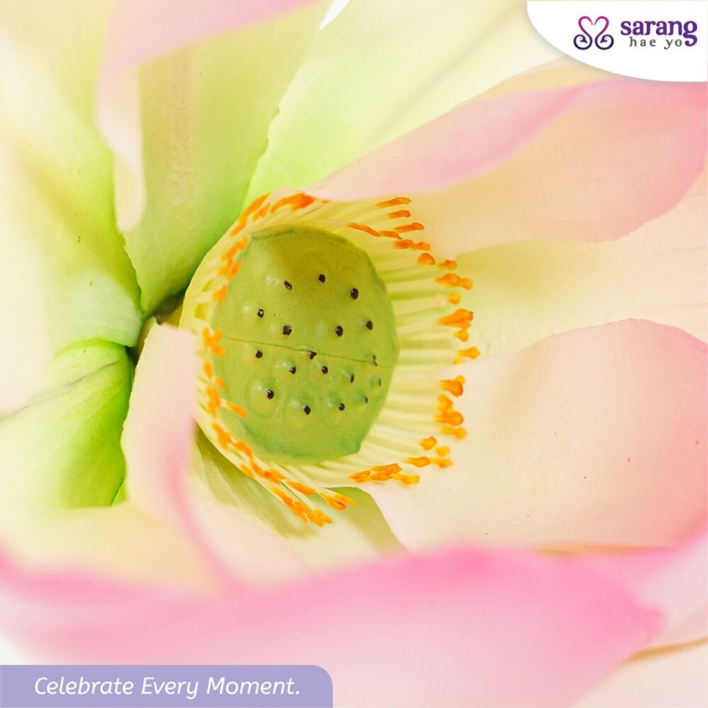 8200d4aac9c3540be98e34a981f263f745c9_1768797190868