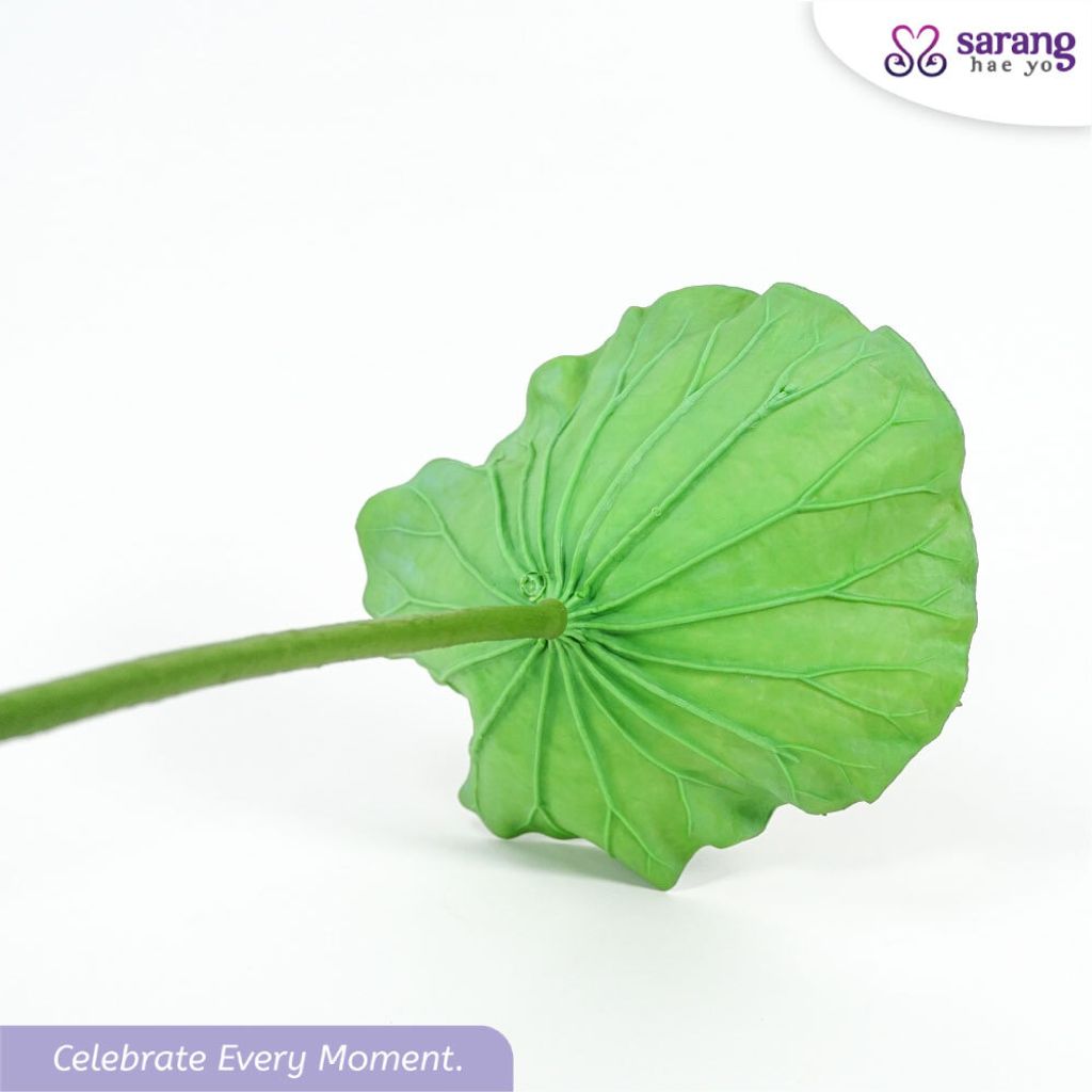 25843334f7252d46336036a0d7269a2bc797_1768797190893