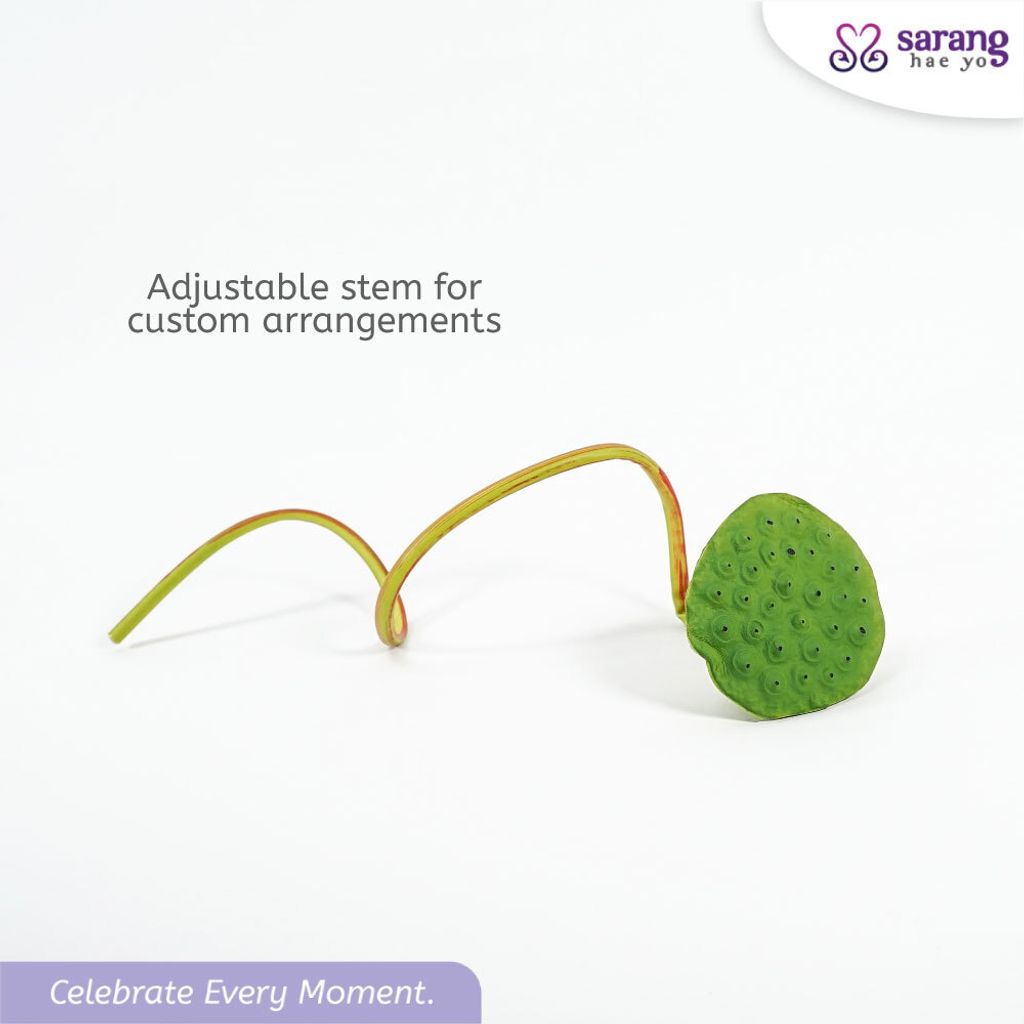 964999a0b659d16a8f9a05b055a9ef819942_1768797379955