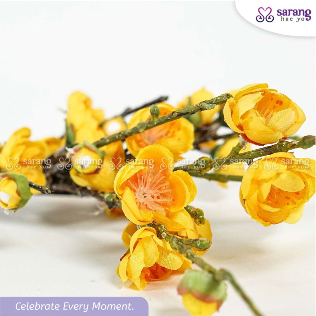 7679e8c41b11a82f345634927ba07fdb99ec_1768805761874