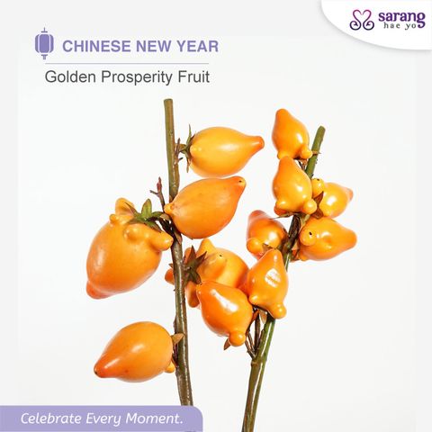 4392addd68f37ffe27e6003f16c342f805c7_1768816590484