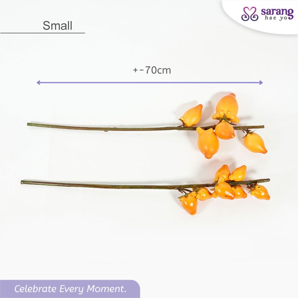 8596778b31e87d96686c7c2e08b7ec33ae33_1768816686769