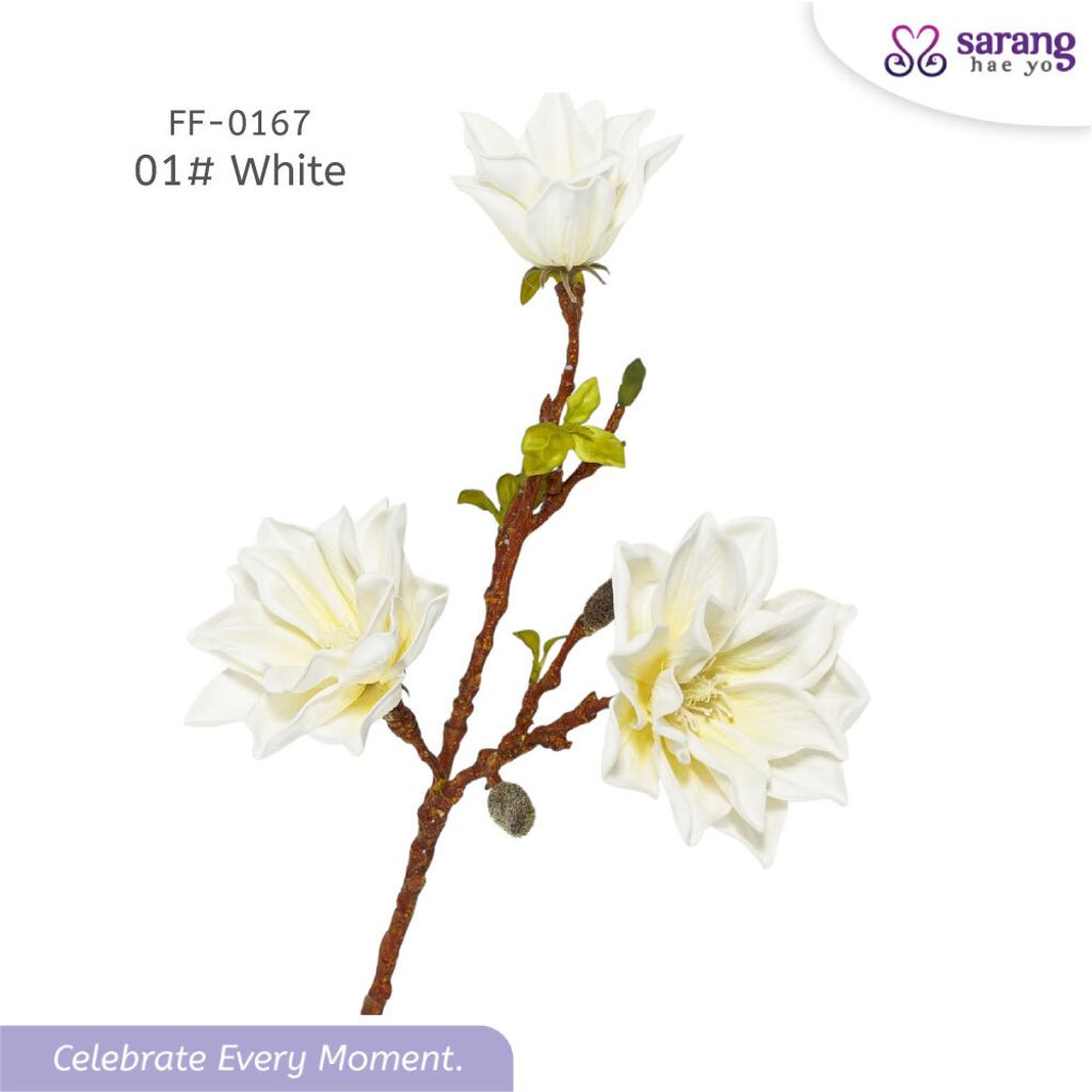 62342730255370d3027c3cb71e625cab376c_1769048174271