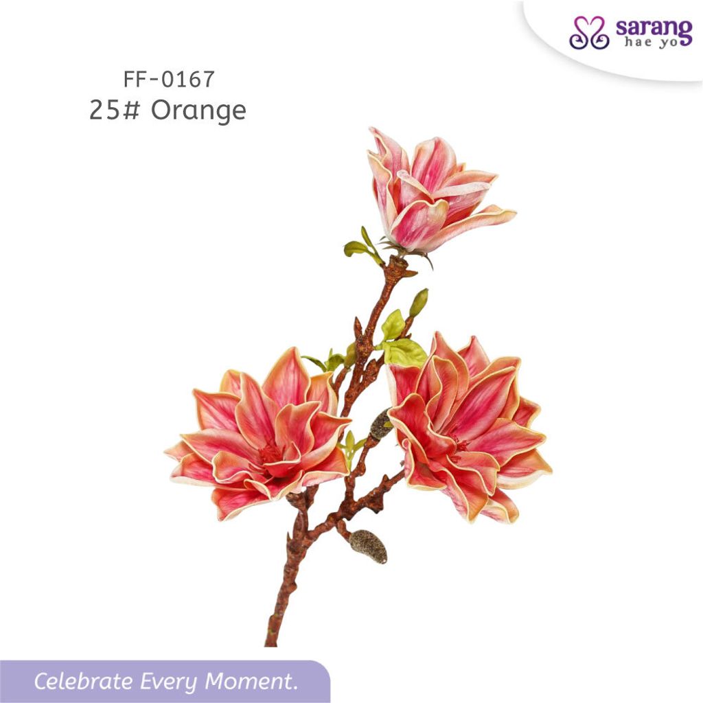 628455f88c75b359b761b67c9459757dcec2_1769048174324