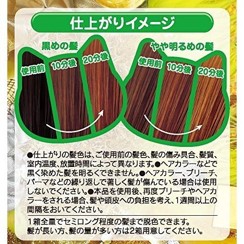 【美品】BLEACH MAILs. Bleach mails ポストカードブック