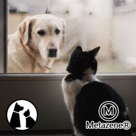 product.2132.162731748861583