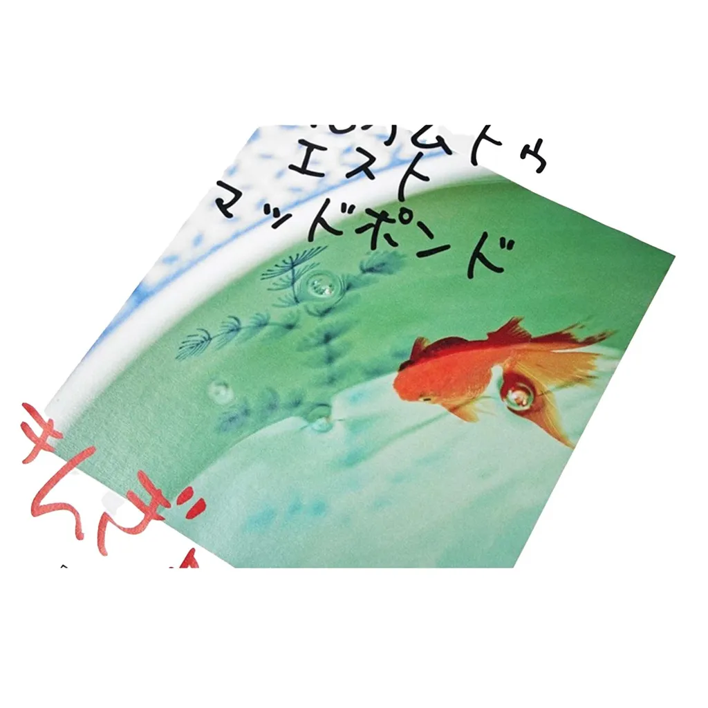 金魚B5