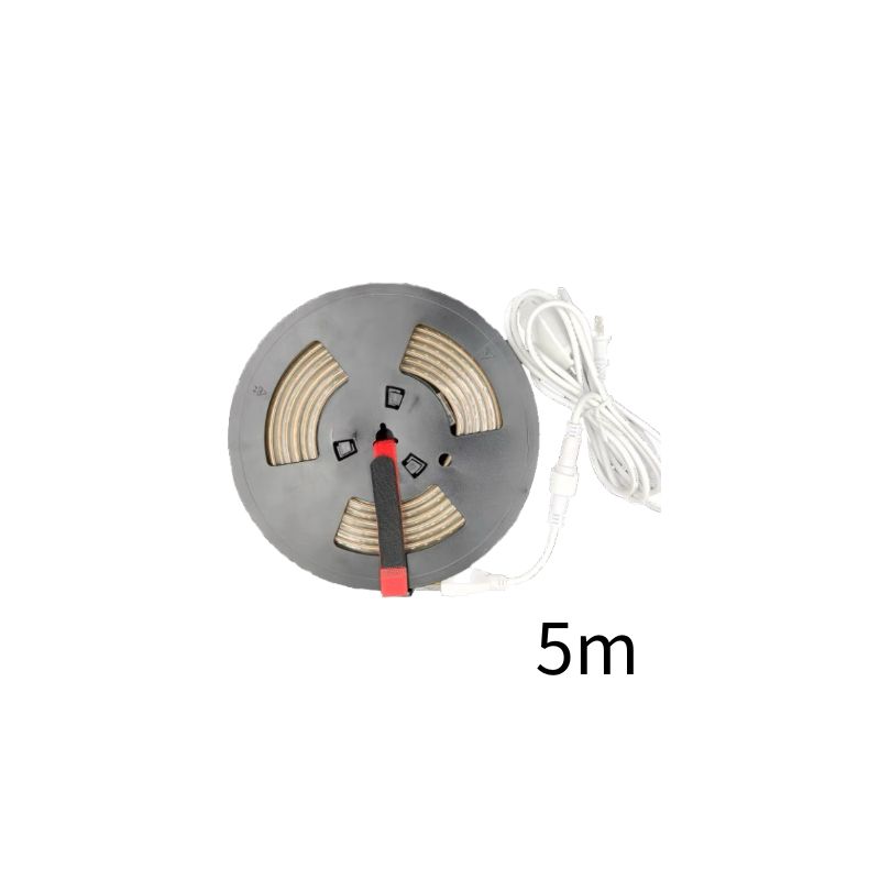 5米 LED燈條