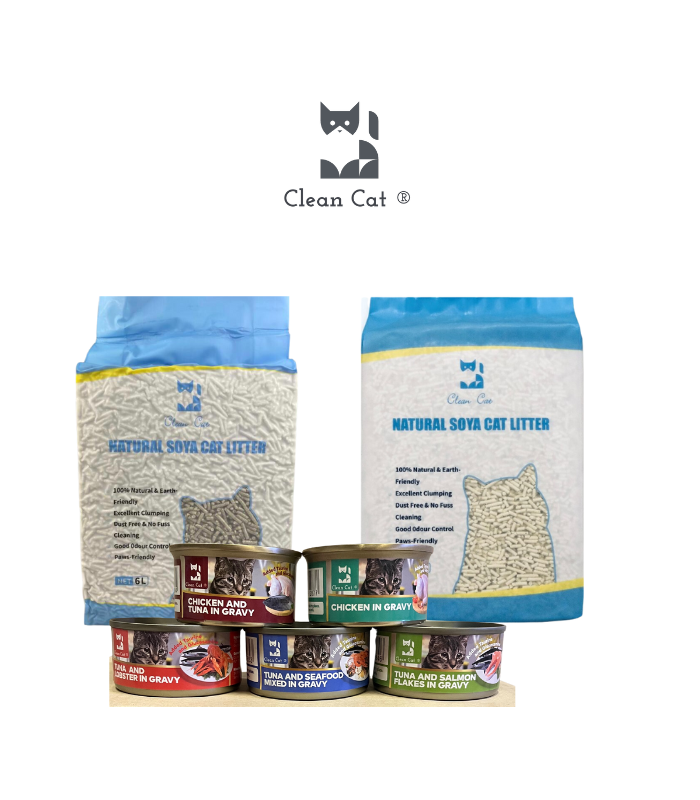 Welcome to Clean Cat | Clean Cat