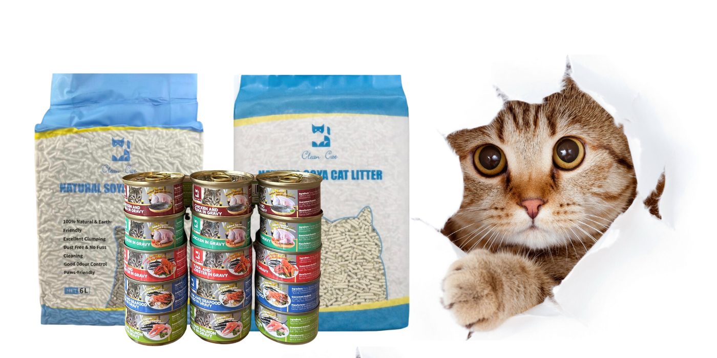 Welcome to Clean Cat | Clean Cat