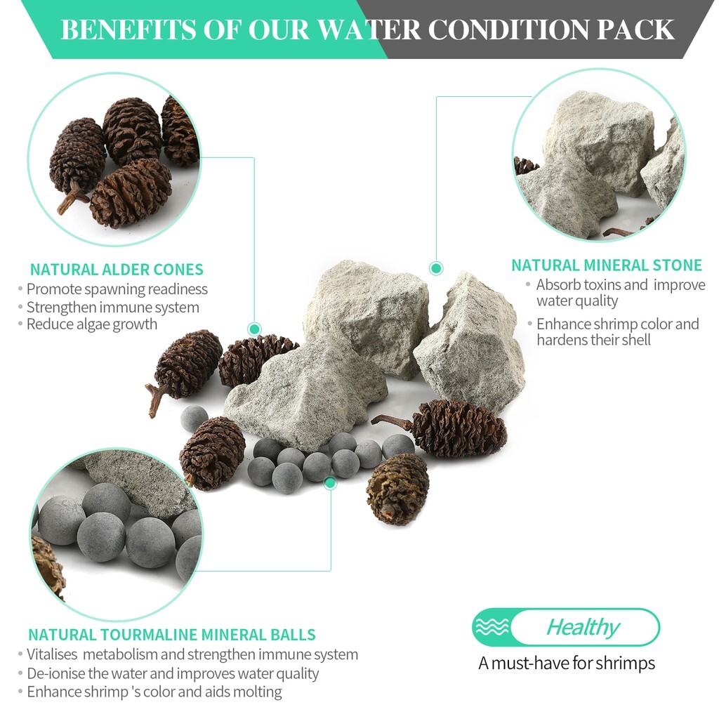 434fc8bf7a1e5ec54aa57b68a2edfa1d