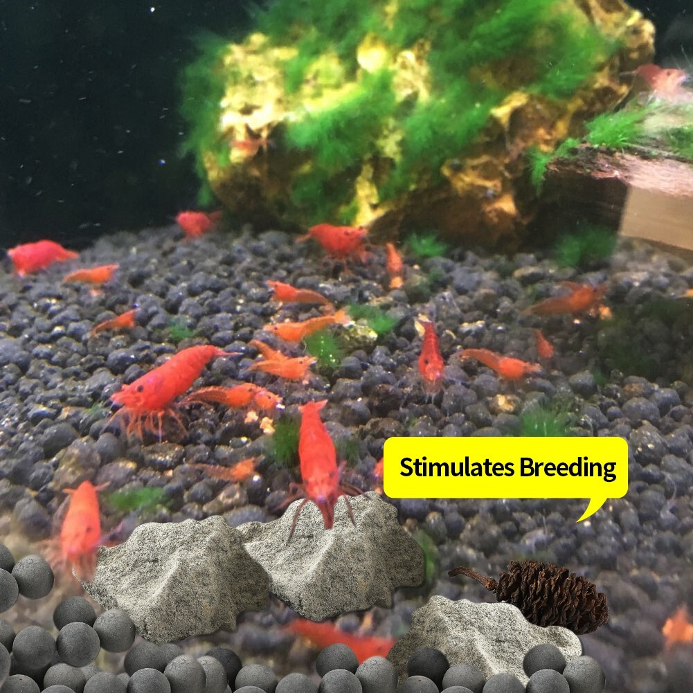 6935fd28bc9e597017c40c76328bafae