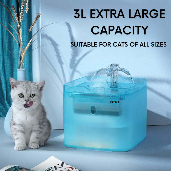 sg-11134207-7qvg0-lib9rr6q1xm771