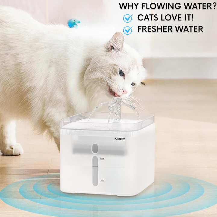 sg-11134207-7qven-lib9rr6q4qr34f