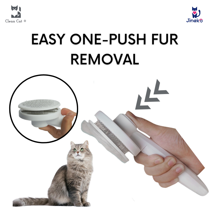 sg-11134207-7qvf8-limrwvwe9hx379