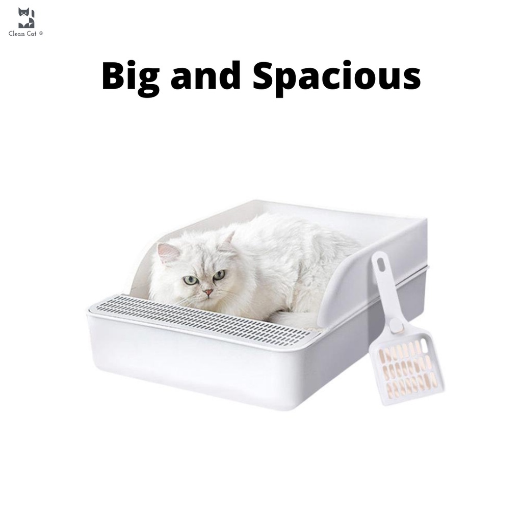 ccd00bd94206eacc9b252bd9671ce792