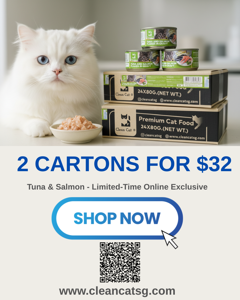 Cat Food Bundle
