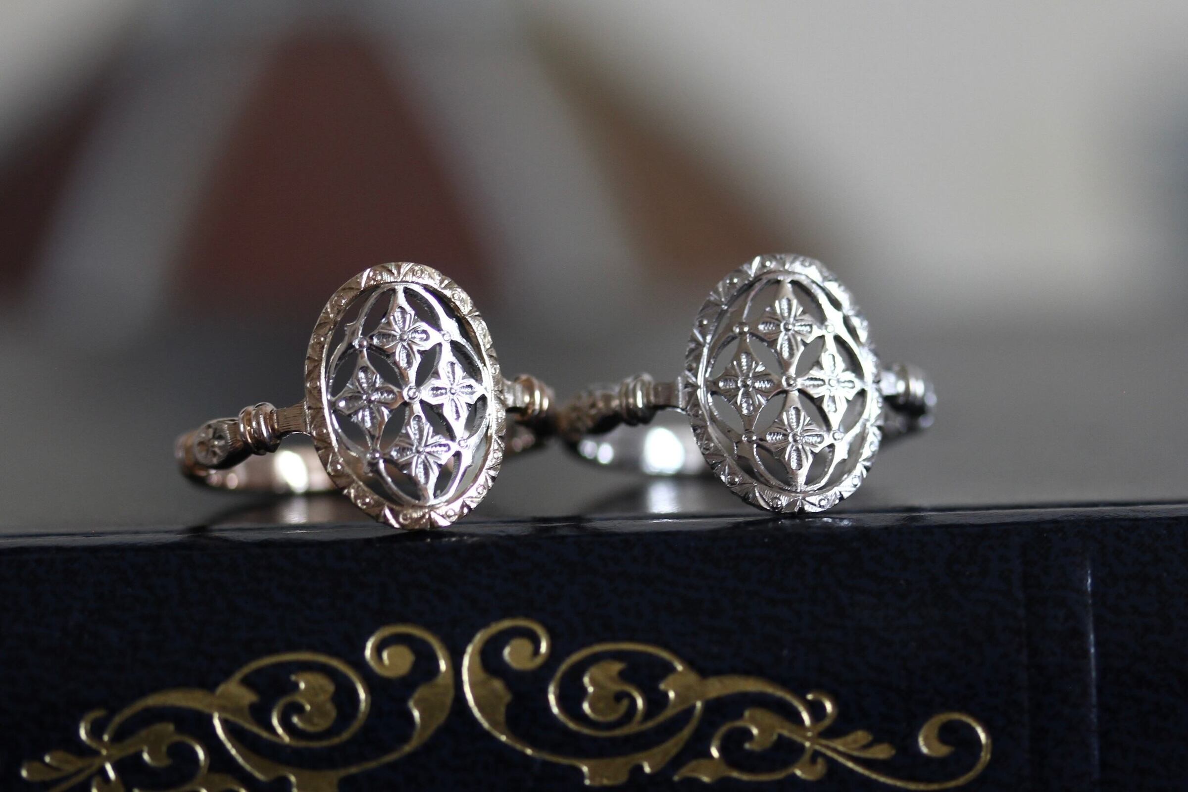 K10×Silver Preferito ring 6