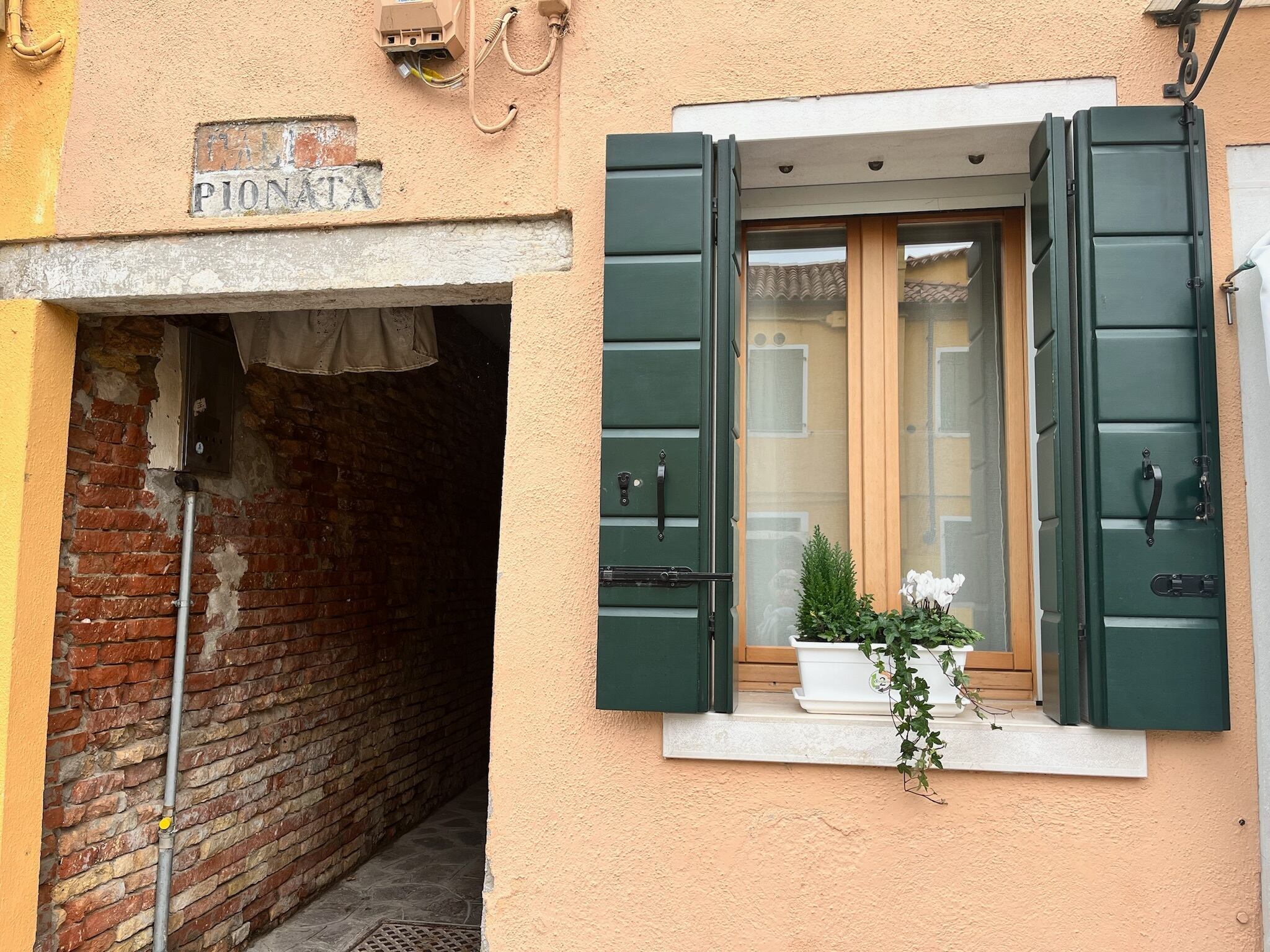 Finestra 【charm:pierce:earring】單入 14