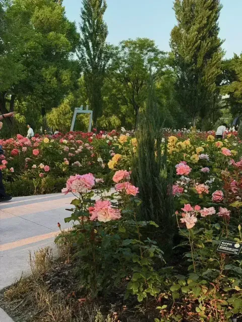 S__5398559