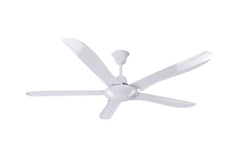 7388eff6879ba0db70bfab57c19837d