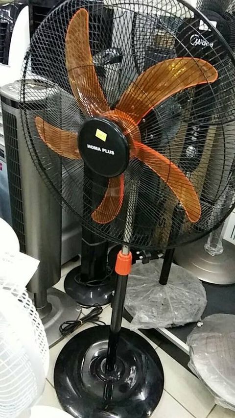 46501465_538352679971447_8354531269912035328_n