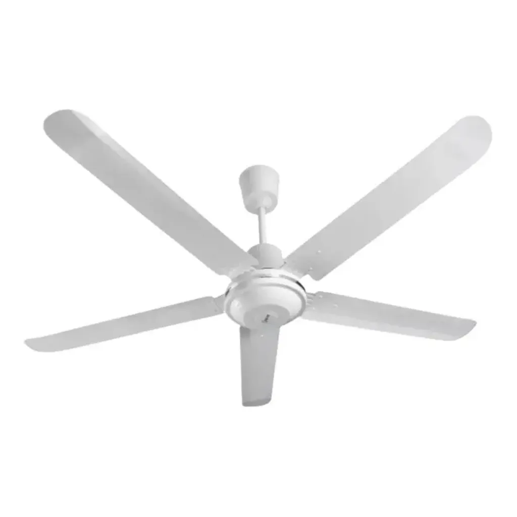 boFNHnE768981f4853699_1754799944_800x