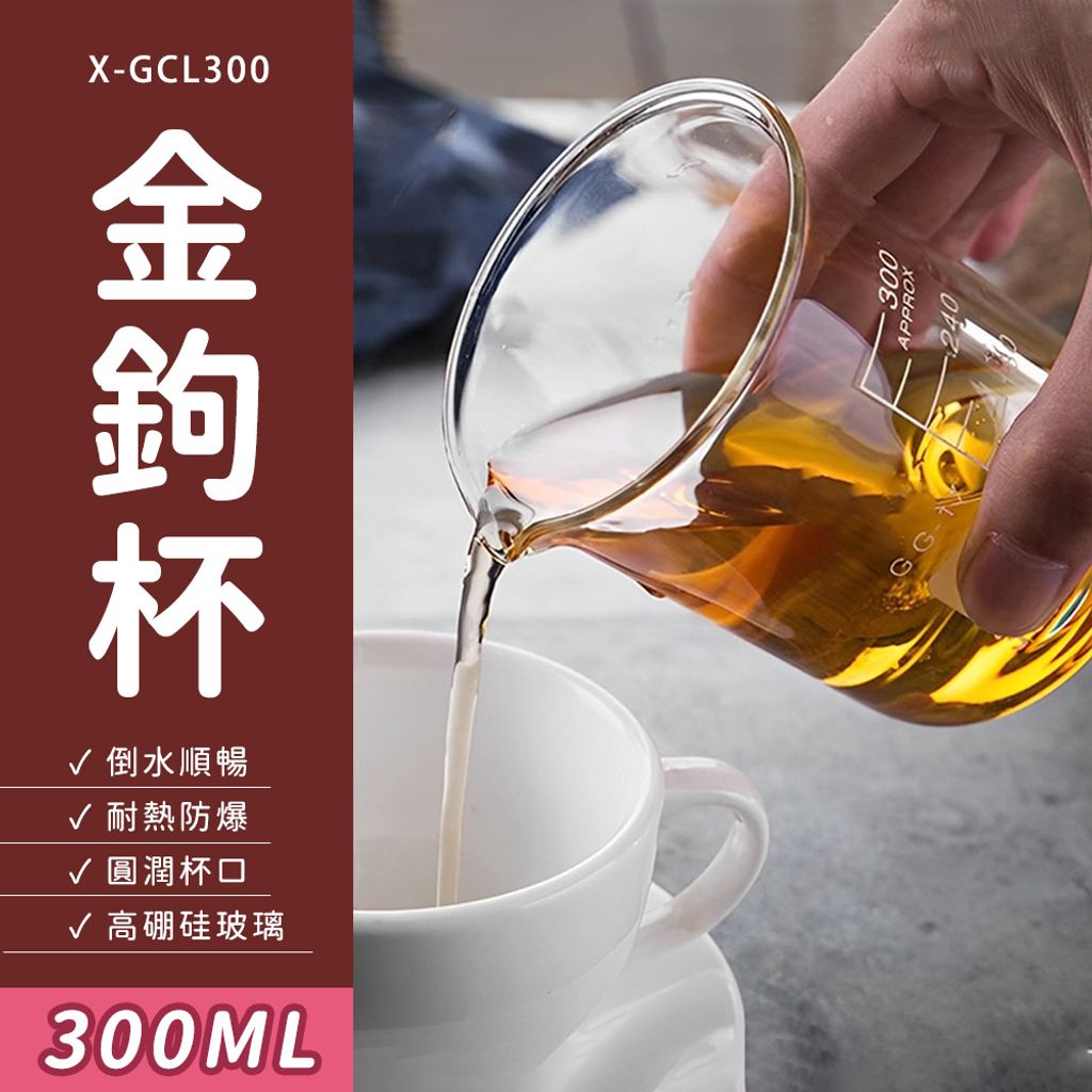 X-GCL300-01