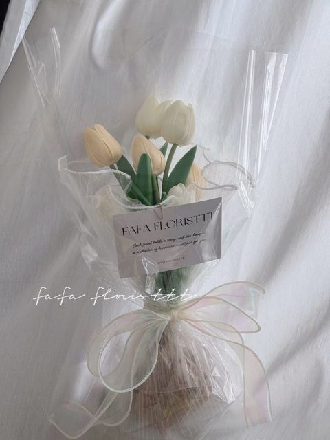 IMG_2248-1710402262573